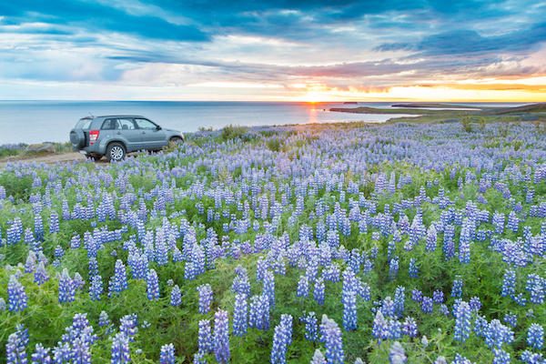 Top 5 Spring Car Care Tips